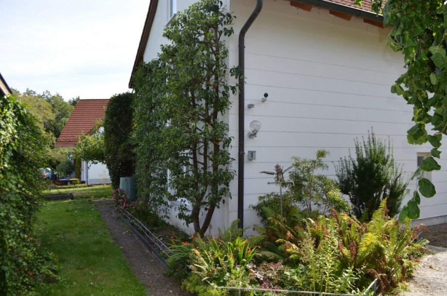 Ostansicht Einfamilienhaus Sontheim