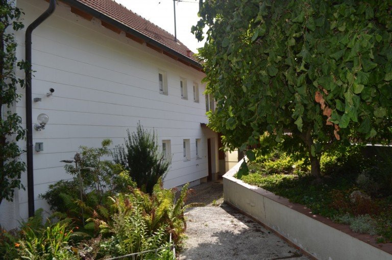 Nordansicht Sontheim - Attenhausen - Sontheim Einfamilienhaus Freistehendes Einfamilienhaus mit viel Potenzial in Attenhausen / Sontheim